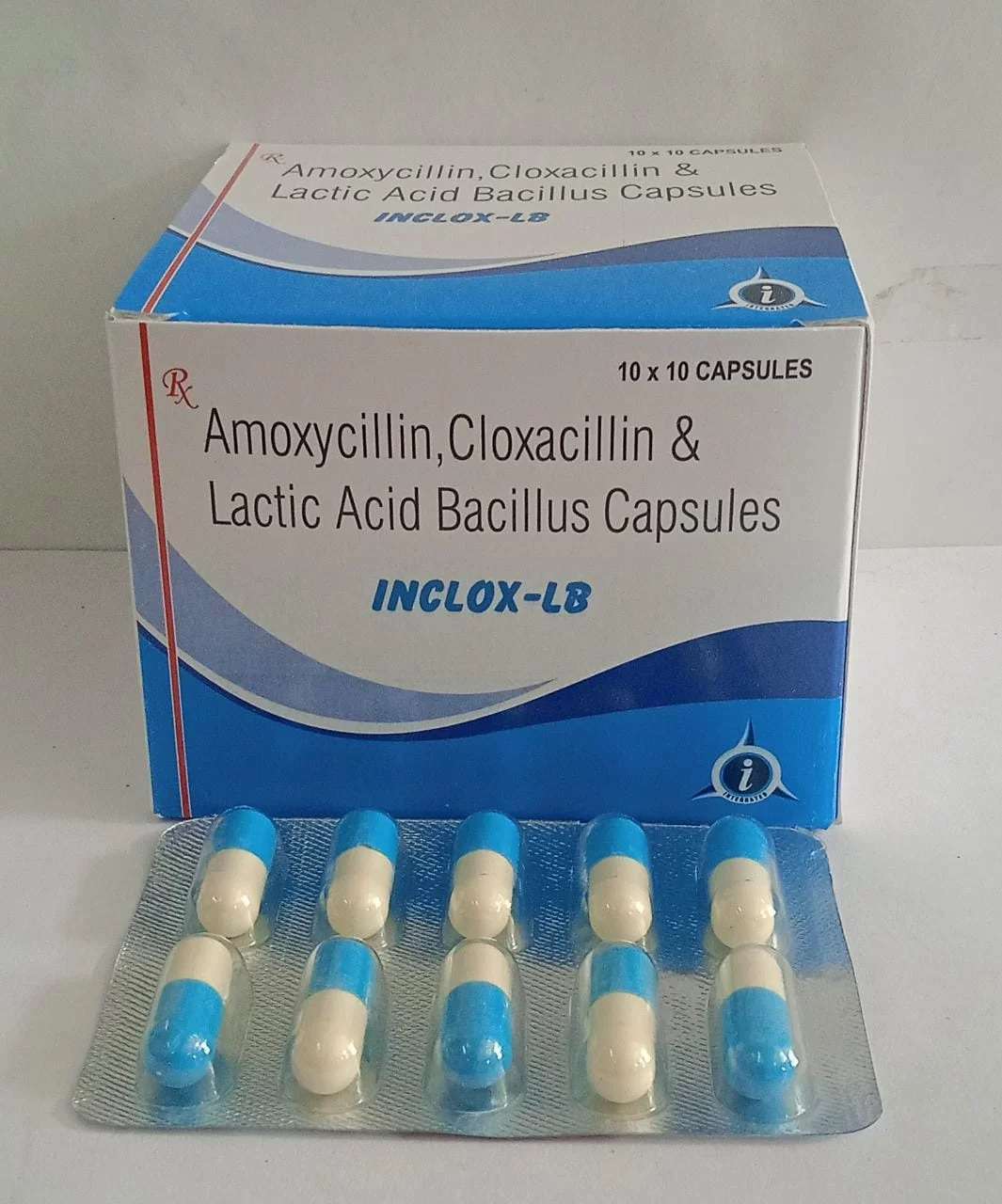 Amoxycillin Bacillus (Inclox-LB)