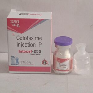 Cefotaxime Injection (Intocef-250)