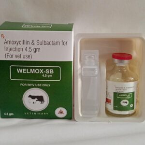 Amoxycillin Sulbactam (Welmox-SB 4.5gm)