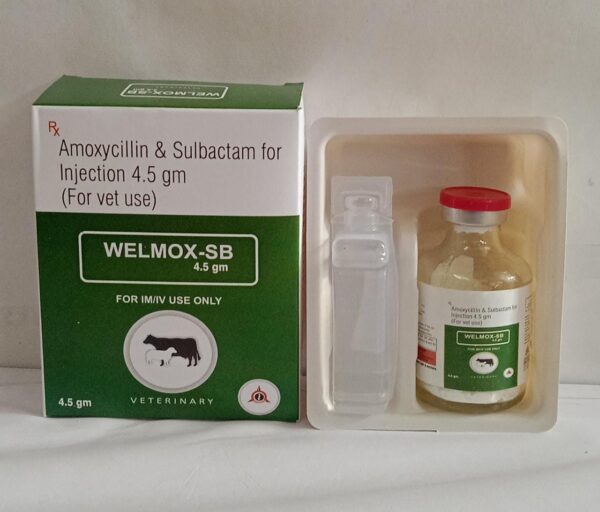 Amoxycillin Sulbactam (Welmox-SB 4.5gm)