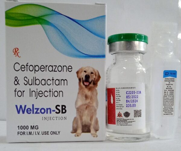 Cefoperazone & Sulbactam Injection (Welzon-SB 1gm)