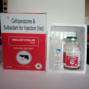 Cefoperazone Sulbactum Injection (Welcefzone-SB 4.5gm)