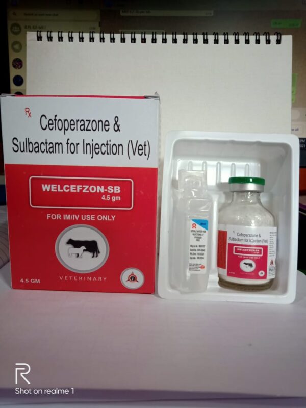 Cefoperazone Sulbactum Injection (Welcefzone-SB 4.5gm)