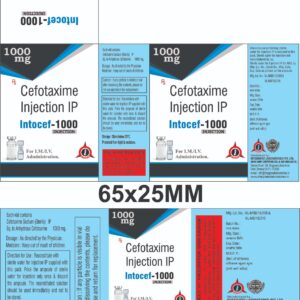 Cefotaxime 1gm (Intocef) Injection