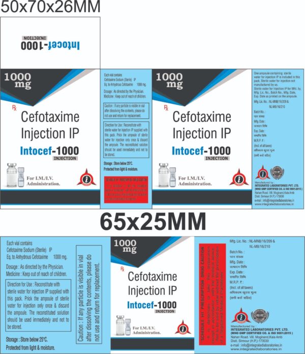 Cefotaxime 1gm (Intocef) Injection