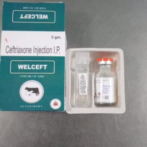 Ceftriaxone Injection (Welceft-3gm)