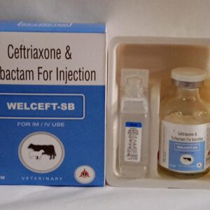 Ceftriaxone & Sulbactum Injection (Welceft -SB 4.5gm)
