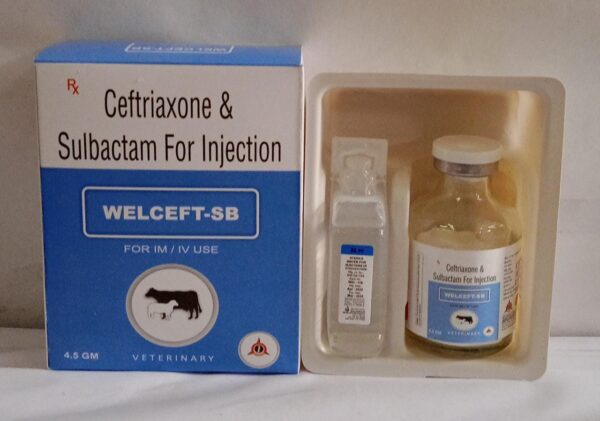 Ceftriaxone & Sulbactum Injection (Welceft -SB 4.5gm)