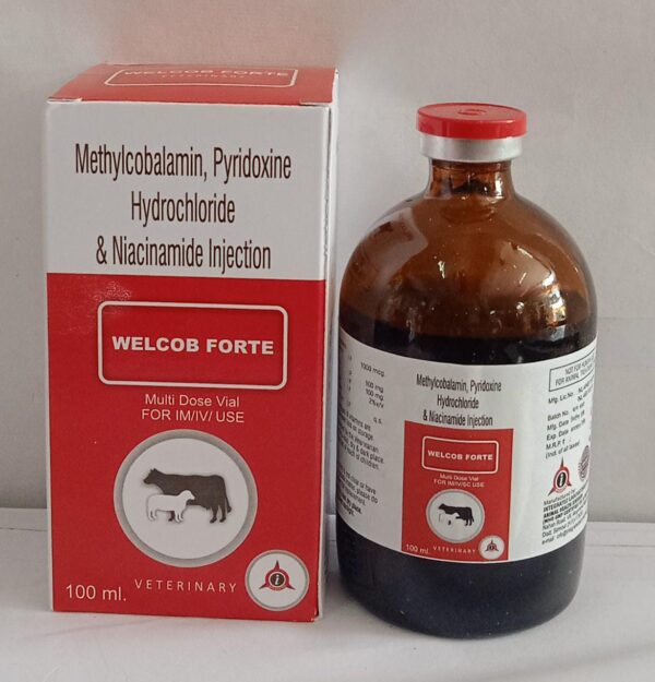 Metylcobalamin Pyridoxine & Niacinamide Injection (Welcob Forte)