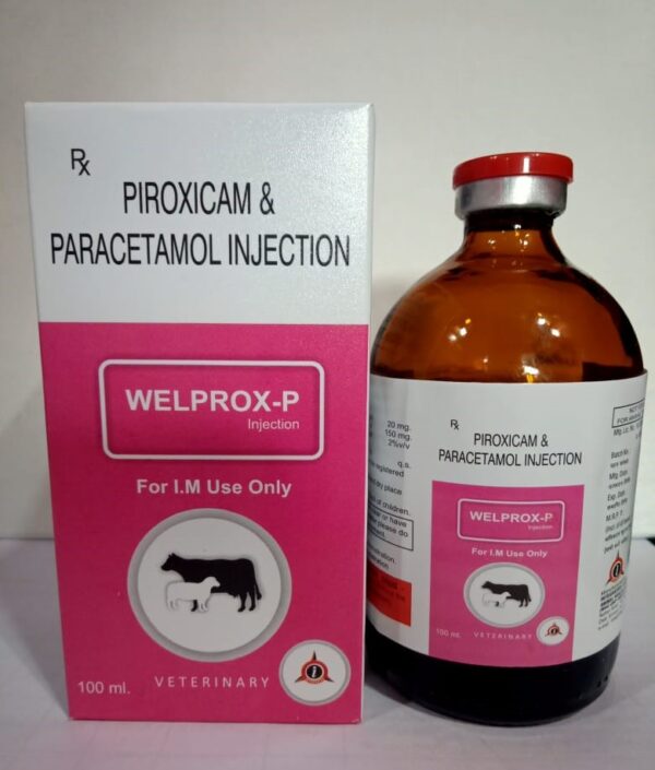 Piroxicam Paracetamol (Welprox-P)