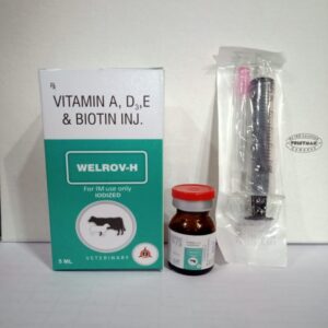 Vitamin A D3 E Biotin (Welrov-H)