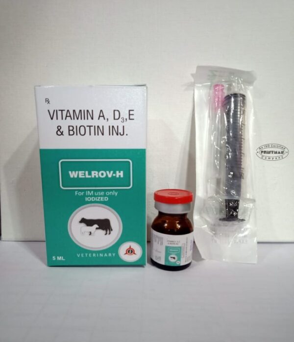 Vitamin A D3 E Biotin (Welrov-H)