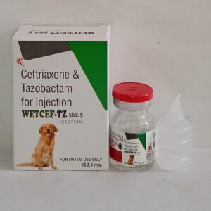 Ceftriaxone & Tazobactam Injection (Wetcef-Tz-562.5mg)