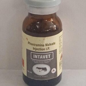 Pheniramine Maleate 10ml Injection (Intavet)