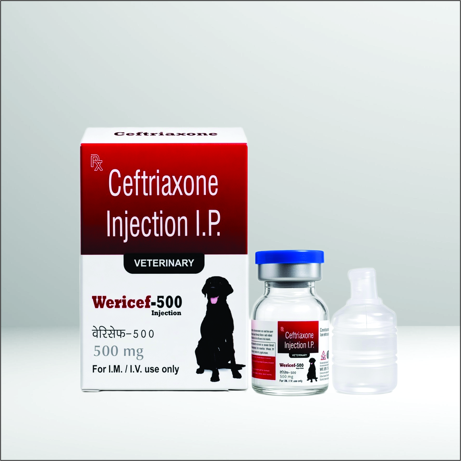 Vial and box of Wericef-500 Ceftriaxone 500mg Injection