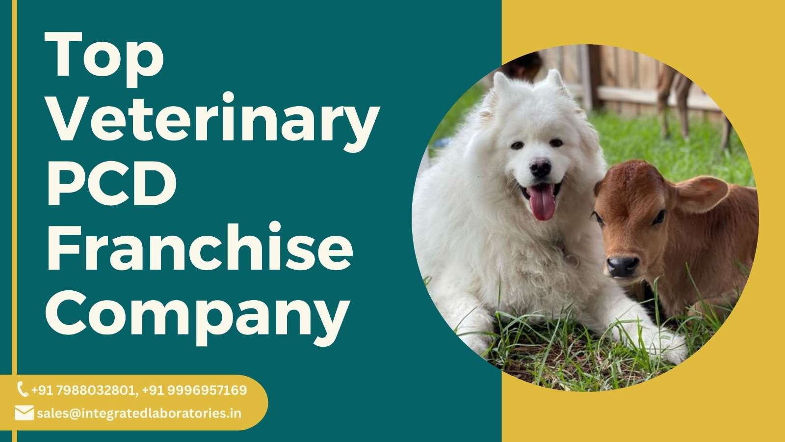 Top Veterinary PCD Franchise Company-Integrated Laboratories