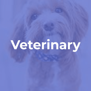 Veterinary